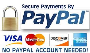 Accept credit cards on-line